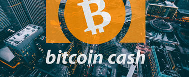 Popcat Soars to New ATH as Investors Eye Solciety