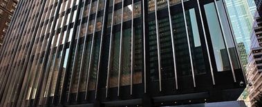 Popcat Soars to New ATH as Investors Eye Solciety