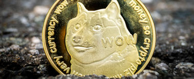 Popcat Soars to New ATH as Investors Eye Solciety