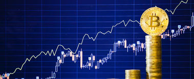 Popcat Soars to New ATH as Investors Eye Solciety