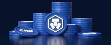 Popcat Soars to New ATH as Investors Eye Solciety