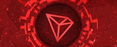 Popcat Soars to New ATH as Investors Eye Solciety