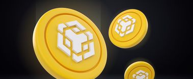 Popcat Soars to New ATH as Investors Eye Solciety