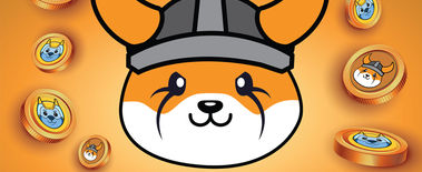 Popcat Soars to New ATH as Investors Eye Solciety