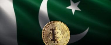 Popcat Soars to New ATH as Investors Eye Solciety