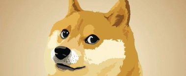 Popcat Soars to New ATH as Investors Eye Solciety