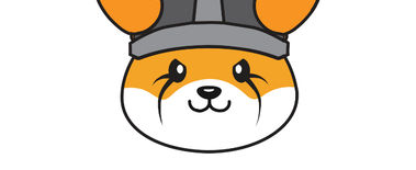 Popcat Soars to New ATH as Investors Eye Solciety