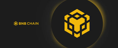 Popcat Soars to New ATH as Investors Eye Solciety