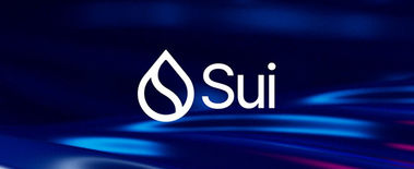 Popcat Soars to New ATH as Investors Eye Solciety