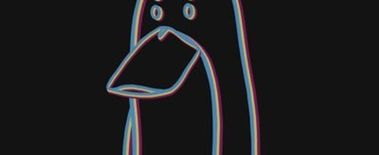 Popcat Soars to New ATH as Investors Eye Solciety