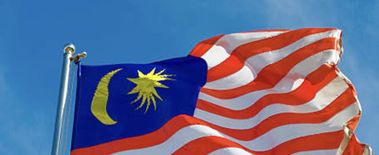 Popcat Soars to New ATH as Investors Eye Solciety