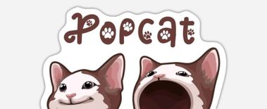 Popcat Soars to New ATH as Investors Eye Solciety