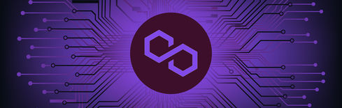 Polygon Price Rises 10% as Burn Rate Jumps and Payments Hit Records