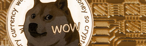 Here’s Why the Dogecoin, Litecoin, Dogecoin, and HBAR ETFs Flopped