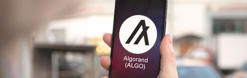 Algorand Price Jumps 18% After Google Quantum Paper Cites ALGO 32 Times