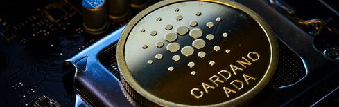 Cardano Whales Add $82M in ADA as Retail Traders Step Back
