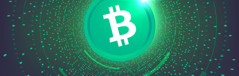 Bitcoin Cash (BCH) Eyes $500 Amid Renewed Institutional Interest
