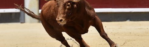 Top Reasons Behind the Crypto Market Rally Today