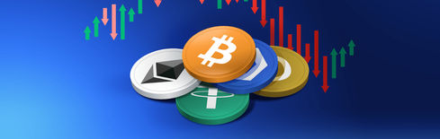 Crypto Market Rally Today: Beware of a Dead Cat Bounce