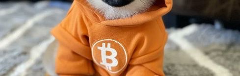 $DOG Memecoin Eyes Coinbase Listing After Binance Snub