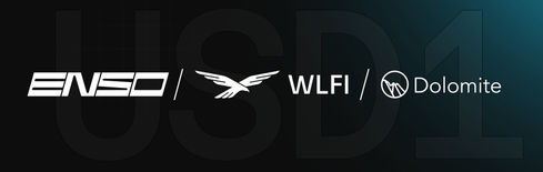 USD1 Partners with Enso for Enhanced DeFi Integration