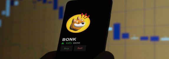Bonk Rallies 20%: Can it Reach $0.000017?