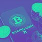 Bitcoin Cash Price Prediction Points to $1,510 Target Amid Bullish Surge