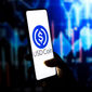 Here’s Why Circle Stock Price Has Crashed and What Next
