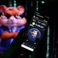 HMSTR Price at Risk as Hamster Kombat L2 Transactions Dive