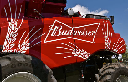 Budweiser launches 1936 NFTs to serve as keys to the Budverse