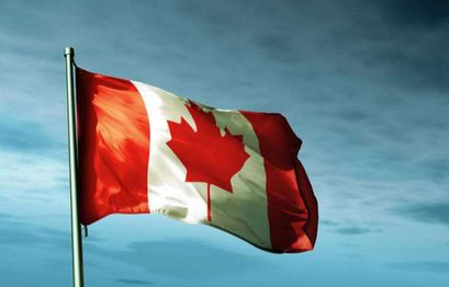 Canadian Insurtech Platform Livelii Seeks $1M