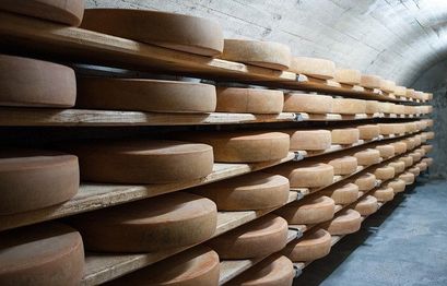 Italian farmers use cheese as loan collateral