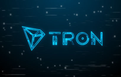 Felon Sina Estavi is back in business, asking for Tron tokens  