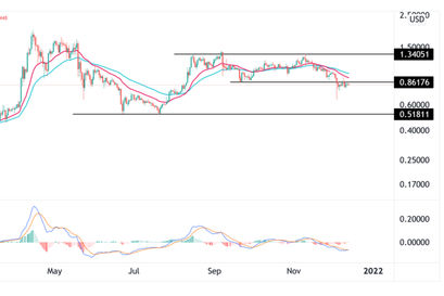 Ripple Price