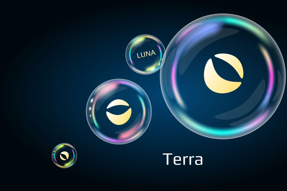 Terra Crisis: Community Votes on Burning 1.3 billion UST Tokens