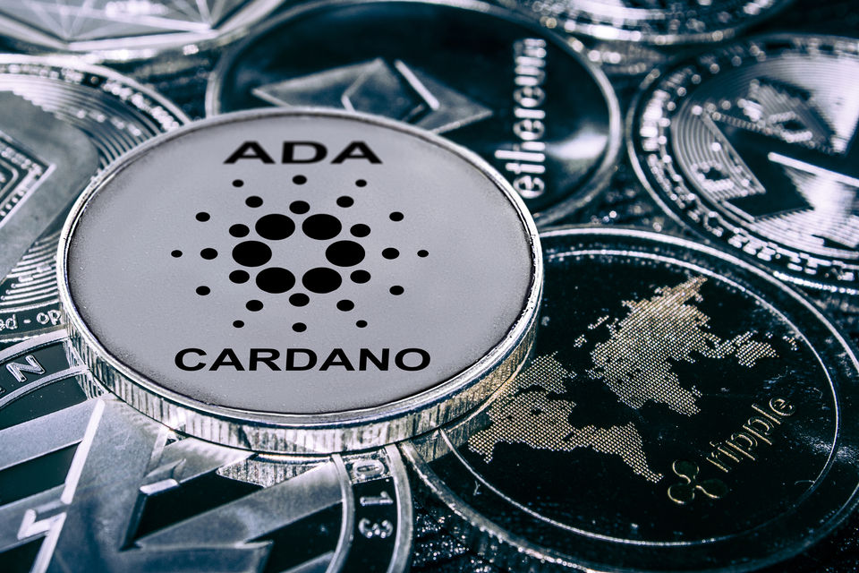 Cardano and Petrobras Partner to Offer Blockchain Training