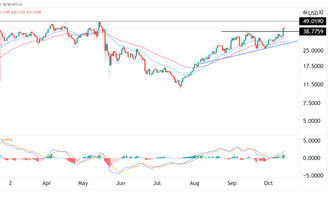 polkadot price