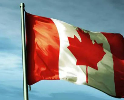 Canadian Insurtech Platform Livelii Seeks $1M